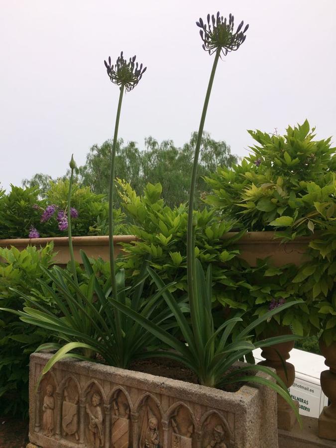 Villa Sea View